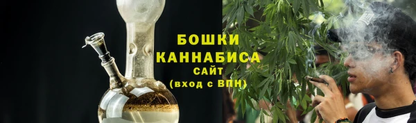 PSILOCYBIN Богородицк