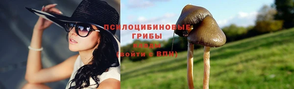 PSILOCYBIN Богородицк