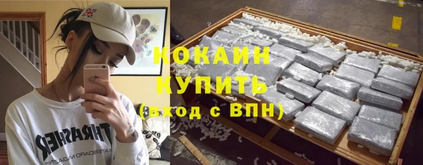 PSILOCYBIN Богородицк