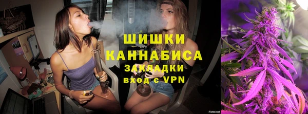 PSILOCYBIN Богородицк