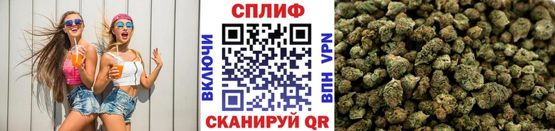 Канабис семена  Купить где  Кочубеевское 
